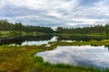 View across a small forest lake with dead calm water Royalty Free Stock Photo