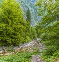 A view across a stream feeding lake Bohinj, Slovenia