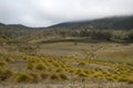 View across sub-alpine meadows with clumps of buttongrass Royalty Free Stock Photo