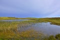 Wetlands Landscape of Outer Hebridean Island of Scotland Royalty Free Stock Photo