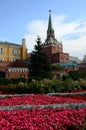 Kremlin and Alexander Gardens - Moscow Royalty Free Stock Photo