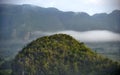 View across the Vinales Valley in Cuba. Morning twilight and fog. Royalty Free Stock Photo