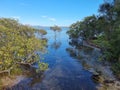 View across the waters of Lake Macquarie from the shore through mangrove trees Royalty Free Stock Photo