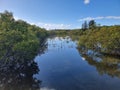 View across the waters of Lake Macquarie from the shore through mangrove trees Royalty Free Stock Photo