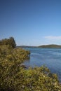 View across the waters of Lake Macquarie from the shore through mangrove trees Royalty Free Stock Photo