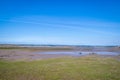 View across the wide and flat River Torridge and Taw estuary from Northam Burrows, Devon, UK. Low tide Royalty Free Stock Photo