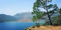 View of Adrasan Bay. Pine tree and sea - vintage photo.