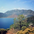 View of Adrasan Bay. Pine tree and sea - vintage photo.