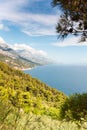 View of Adriatic Sea and bay with pine forest on mountains