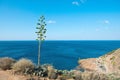 View on Aegean sea