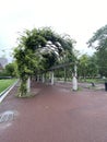 Vine filled overhang arches