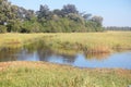 RIVER WITH LUSH GRASSLAND AND TREELINE IN AFRICA Royalty Free Stock Photo