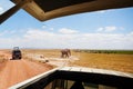 View of African elephant through jeep`s open roof