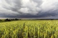 View of agrarian field Royalty Free Stock Photo