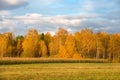 Autumn landscape with forest and field