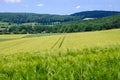 View on the agricultural fields with grain in Germany Royalty Free Stock Photo