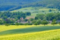 View on the agricultural fields with grain in Germany Royalty Free Stock Photo