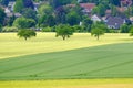 View on the agricultural fields with grain in Germany Royalty Free Stock Photo