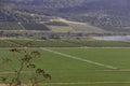 View of agricultural green fields with dry vegetation in the foreground