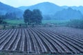 View of agricultural town. Royalty Free Stock Photo