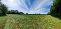 View of an agriculturally used field with green grass Royalty Free Stock Photo