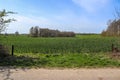 View of an agriculturally used field with green grass Royalty Free Stock Photo