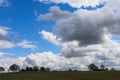 View of an agriculturally used field with green grass