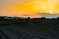 View agriculture field farms in evening time