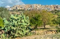 View of Agrigento city from the Kolymbetra Garden in Sicily, Italy Royalty Free Stock Photo
