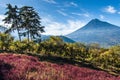 View of Agua Volcano outside Antigua, Guatemala Royalty Free Stock Photo