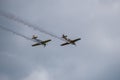 View of airplanes flying in sky during airshow