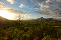 View from Airport Vortex in Sedona, Arizona with cypress tree Royalty Free Stock Photo