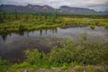 View of Alaskan Mountain Range in Denali National Park, Alaska Royalty Free Stock Photo