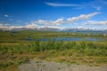 View of Alaskan Mountain Range in Denali National Park, Alaska Royalty Free Stock Photo