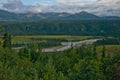 View of Alaskan Mountain Range in Denali National Park, Alaska Royalty Free Stock Photo