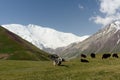 View on the Alay Valley near Lake Tolpur, Kyrgyzstan