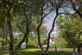 View of the alley of heroes of the Russian fleet in the park Island of Forts in Kronstadt