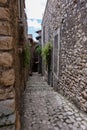 Sealed window on an alley with plants of a medieval town.