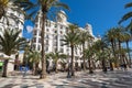 View of alley of palm trees in Alicante