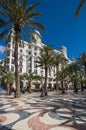 View of alley of palm trees in Alicante Royalty Free Stock Photo