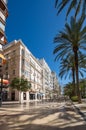 View of alley of palm trees in Alicante Royalty Free Stock Photo