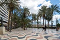 View of alley of palm trees in Alicante Royalty Free Stock Photo