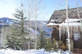 The View From Allie`s Cabin, Beaver Creek, Vail Resorts, Avon, Colorado