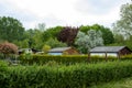 view into a allotmant gardens, hedges left and right, roof of tiny houses