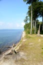 View along a coast with steep erosion slopes