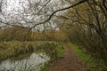 View along the Itchen Way in Hampshire on a cloudy day