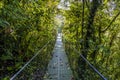 A view along a 200m long suspended bridge in the cloud rain forest in Monteverde, Costa Rica