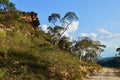 A view along Mount Hay Road in the Blue Mountains of Australia Royalty Free Stock Photo