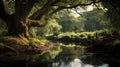 View along a peaceful woodland river with a shallow rocky bed, with green reflections in the still water, peaceful woodland pond,