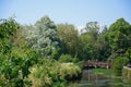 View along the River Coln, Bibury. Royalty Free Stock Photo